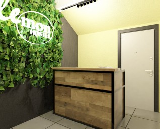 Хостел Lemon  г.Москва 0